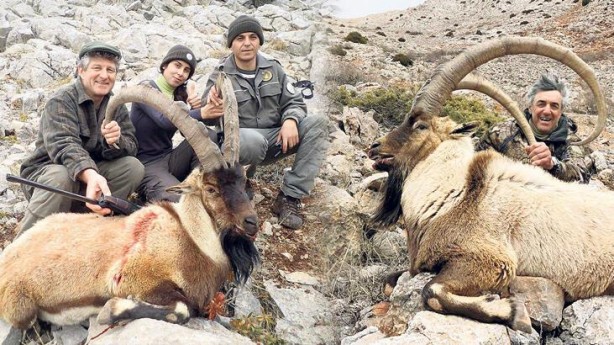 Foto - 12 İspanyol bir şehri karıştırdı! Vatandaşlar ayağa kalktı