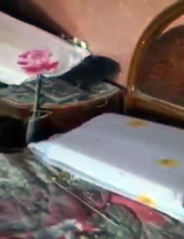 Foto - 12 PKK'lı işte böyle öldürüldü