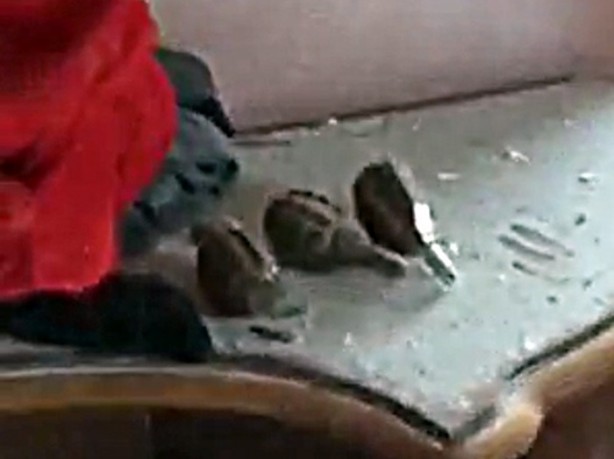 Foto - 12 PKK'lı işte böyle öldürüldü