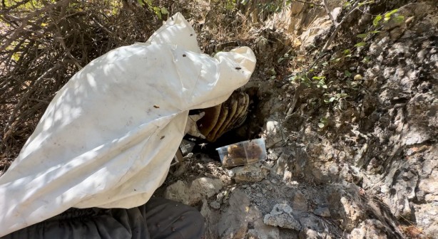 Foto - 12 yıl önce Cilo Dağı'nda keşfettiği kaya balının kilosu dudak uçuklattı!