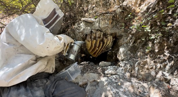Foto - 12 yıl önce Cilo Dağı'nda keşfettiği kaya balının kilosu dudak uçuklattı!