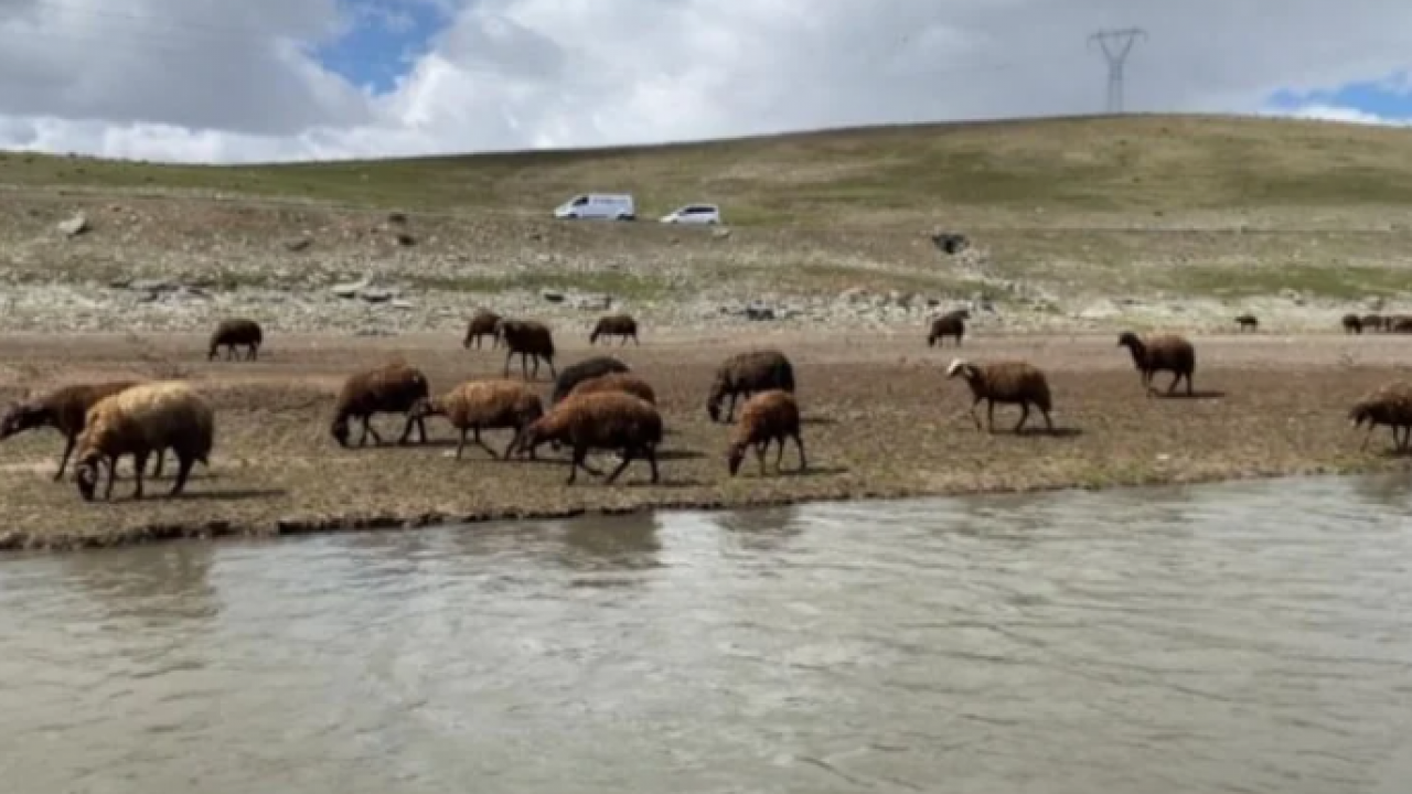 120 bin lira maaşla işçi bulamıyorlar! Kendi işlerini hallediyorlar!