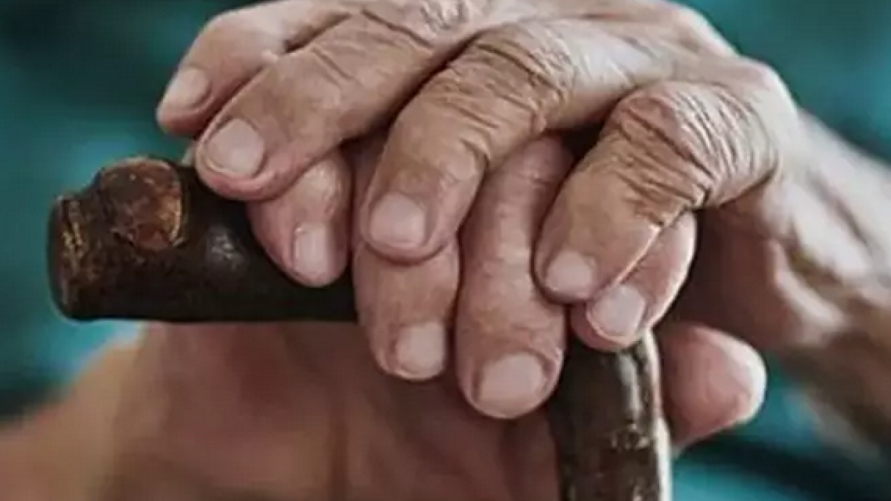 Foto - 120 yaşına kadar yaşamak isteyen tüketsin! Araştırma: İtalyan uzun ömür uzmanı açıkladı