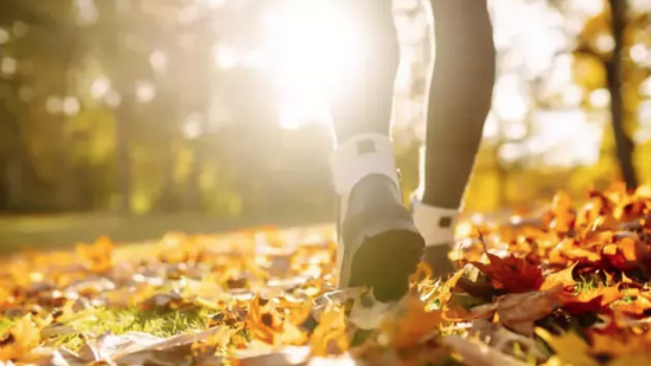 Foto - 120 yaşına kadar yaşamak isteyen tüketsin! Araştırma: İtalyan uzun ömür uzmanı açıkladı