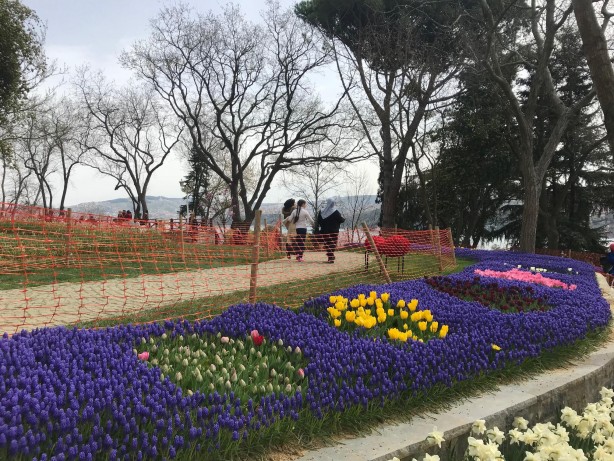 Foto - 13. İstanbul Lale Festivali başladı