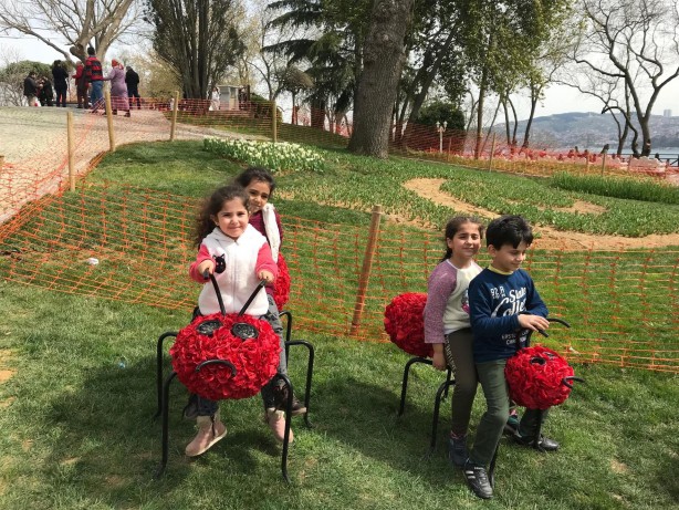 Foto - 13. İstanbul Lale Festivali başladı