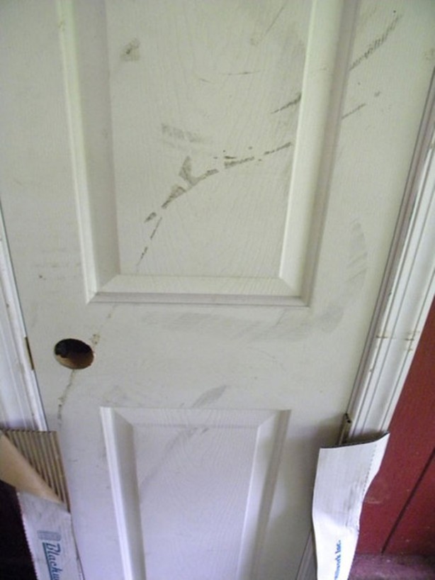 Foto - 13 yaşında ev inşa etti!