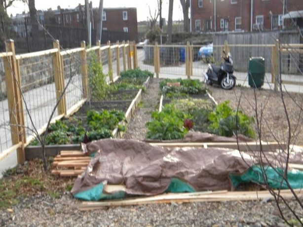 Foto - 13 yaşında ev inşa etti!