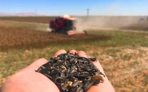 Foto - 13’ünde liderliği bırakmıyor Türkiye’deki üretime damga vuran il