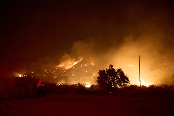 Foto - 14 bin 625 dönümlük alan yandı