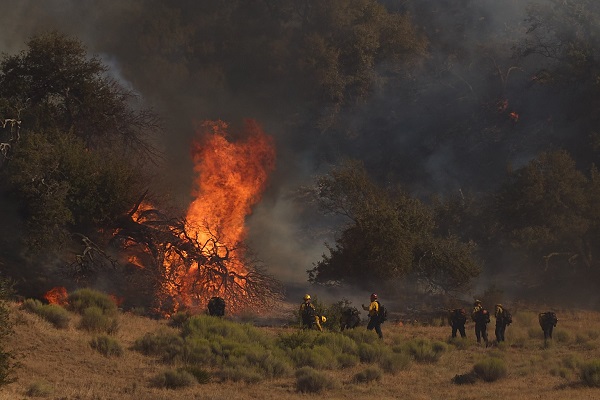Foto - 14 bin 625 dönümlük alan yandı