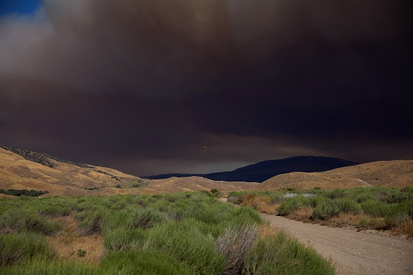 Foto - 14 bin 625 dönümlük alan yandı