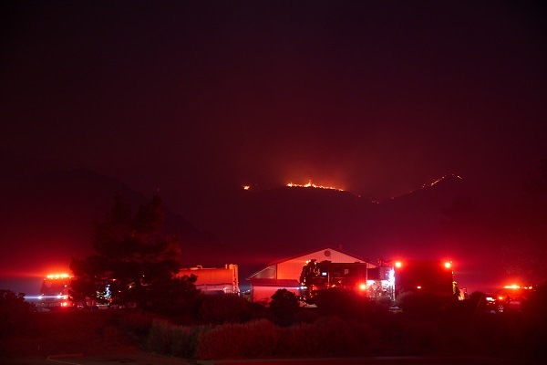 Foto - 14 bin 625 dönümlük alan yandı