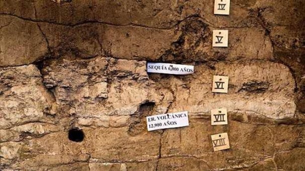 Foto - 14 bin yaşında mamut bulundu