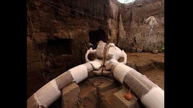 Foto - 14 bin yaşında mamut bulundu