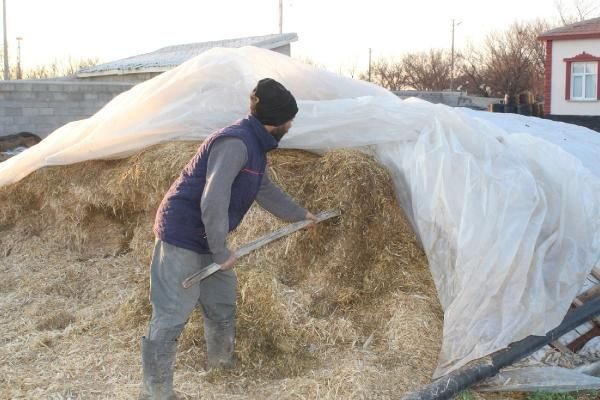 Foto - 14 taneyle başladı, geliri 100 bin lira oldu! Gençlere de tavsiye etti