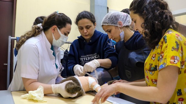 Foto - 1,5 aylık yavru ayı ameliyat edildi
