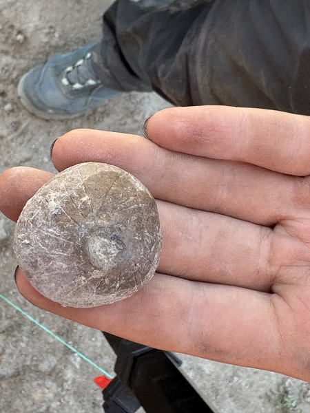 Foto - 15 bine yakın buluntu ortaya çıktı! İkiztepe Höyüğü'nün gizemi