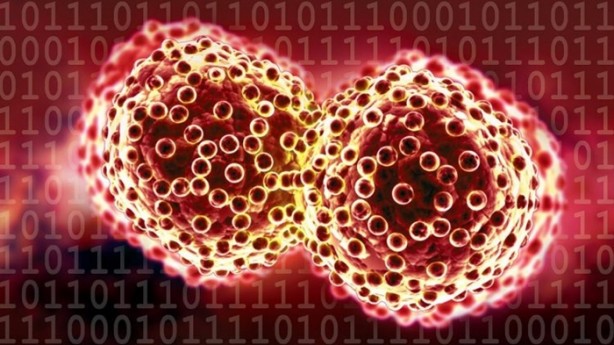 Foto - 15 dakikada kanserden kurtulmak mümkün!