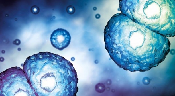 Foto - 15 dakikada kanserden kurtulmak mümkün!