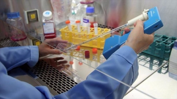 Foto - 15 dakikada kanserden kurtulmak mümkün!