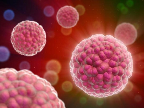 Foto - 15 dakikada kanserden kurtulmak mümkün!