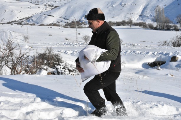 Foto - -15 derecede insanoğlunun merhameti fotoğraflara yansıdı! Tek amaçları vardı… 