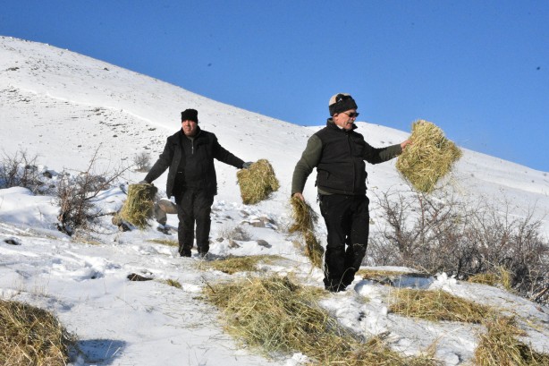 Foto - -15 derecede insanoğlunun merhameti fotoğraflara yansıdı! Tek amaçları vardı… 