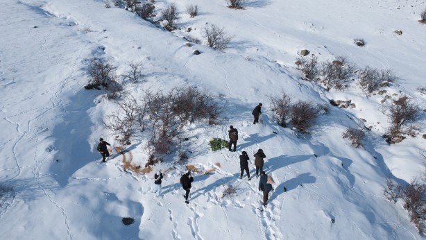 Foto - -15 derecede insanoğlunun merhameti fotoğraflara yansıdı! Tek amaçları vardı… 