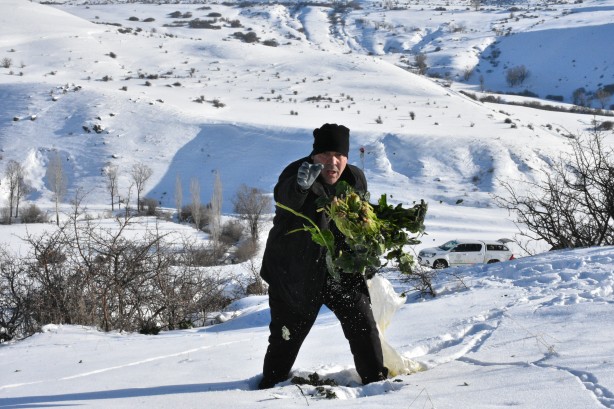 Foto - -15 derecede insanoğlunun merhameti fotoğraflara yansıdı! Tek amaçları vardı… 