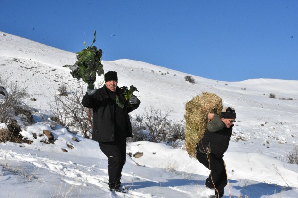 Foto - -15 derecede insanoğlunun merhameti fotoğraflara yansıdı! Tek amaçları vardı… 
