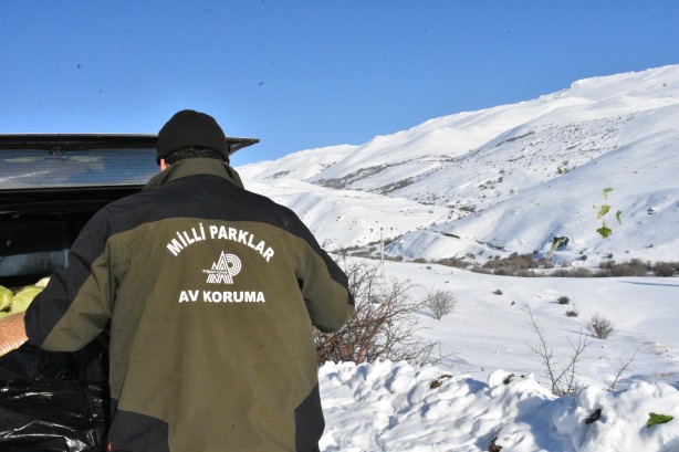 Foto - -15 derecede insanoğlunun merhameti fotoğraflara yansıdı! Tek amaçları vardı… 