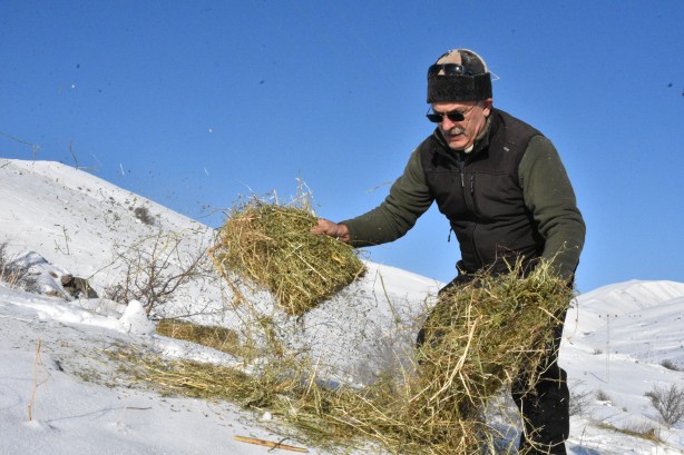 Foto - -15 derecede insanoğlunun merhameti fotoğraflara yansıdı! Tek amaçları vardı… 
