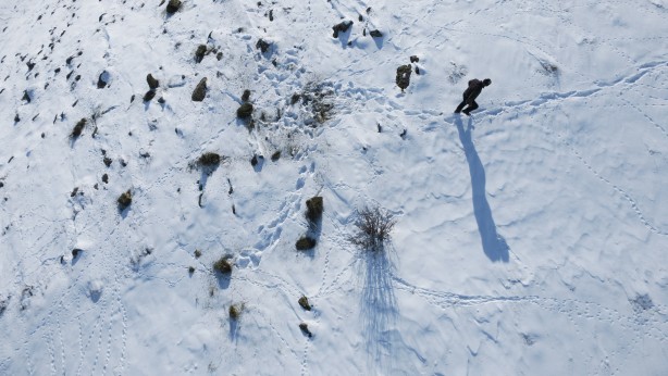 Foto - -15 derecede insanoğlunun merhameti fotoğraflara yansıdı! Tek amaçları vardı… 