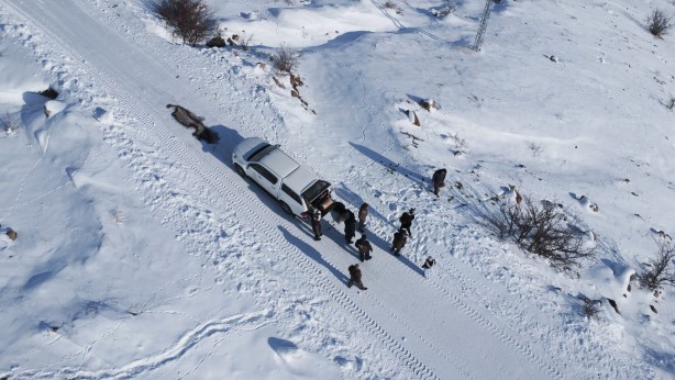Foto - -15 derecede insanoğlunun merhameti fotoğraflara yansıdı! Tek amaçları vardı… 
