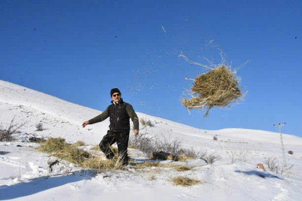 Foto - -15 derecede insanoğlunun merhameti fotoğraflara yansıdı! Tek amaçları vardı… 