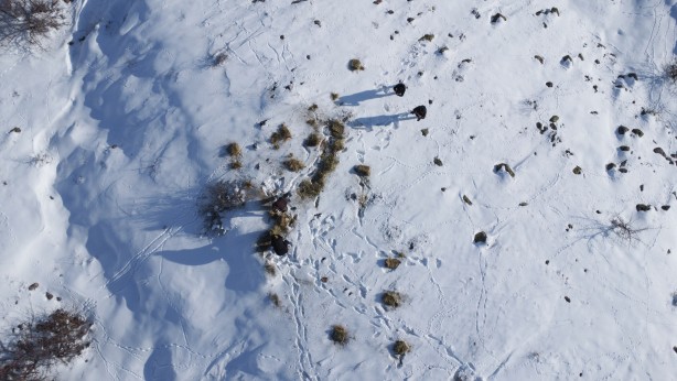 Foto - -15 derecede insanoğlunun merhameti fotoğraflara yansıdı! Tek amaçları vardı… 