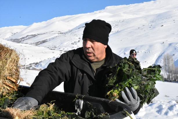Foto - -15 derecede insanoğlunun merhameti fotoğraflara yansıdı! Tek amaçları vardı… 