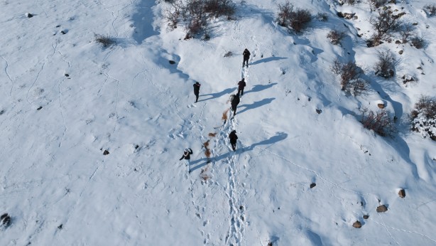 Foto - -15 derecede insanoğlunun merhameti fotoğraflara yansıdı! Tek amaçları vardı… 