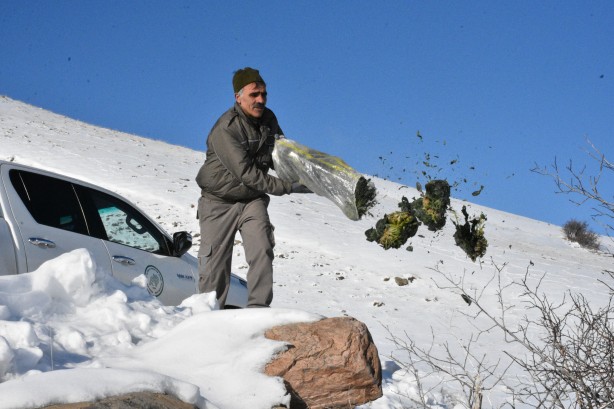Foto - -15 derecede insanoğlunun merhameti fotoğraflara yansıdı! Tek amaçları vardı… 