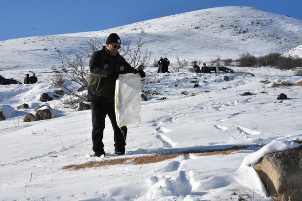 Foto - -15 derecede insanoğlunun merhameti fotoğraflara yansıdı! Tek amaçları vardı… 