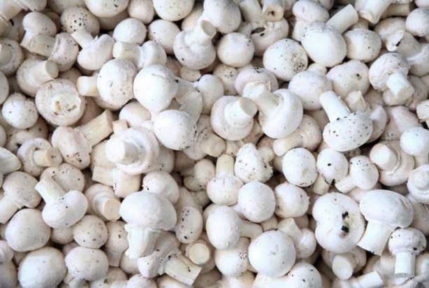 Foto - 15 Mayıs'ta Türkiye'nin her yerinde olacaklar! Uzmanlar vatandaşları uyarıyor: Aman dikkat edin