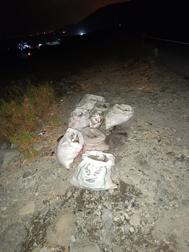 Foto - 1,5 milyon liralık balık operasyonu! Suçüstü yakalandılar