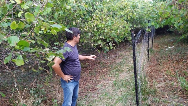 Foto - 1,5 yıl önce tarım yapmak için aldı! Tarlaya geldiğinde gördüğü manzara sonrası şok oldu