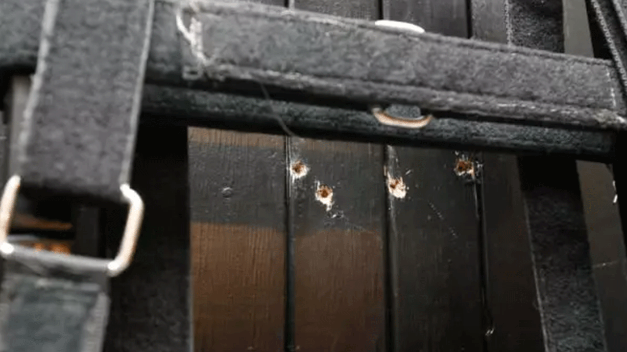 Foto - 15 yıl sonra ilk: Görevliler tarafından kurşuna dizildi!