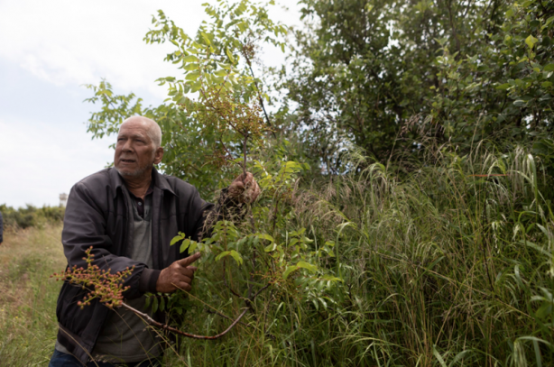 Foto - 15 yıldır mağarada yaşayan Zekai amcadan ders niteliğinde sözler 