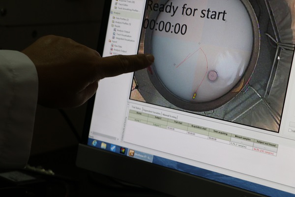 15 yıllık çalışmanın meyvesi! Otizm tedavisinde büyük keşif