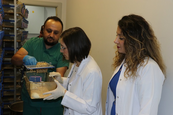 Foto - 15 yıllık çalışmanın meyvesi! Otizm tedavisinde büyük keşif