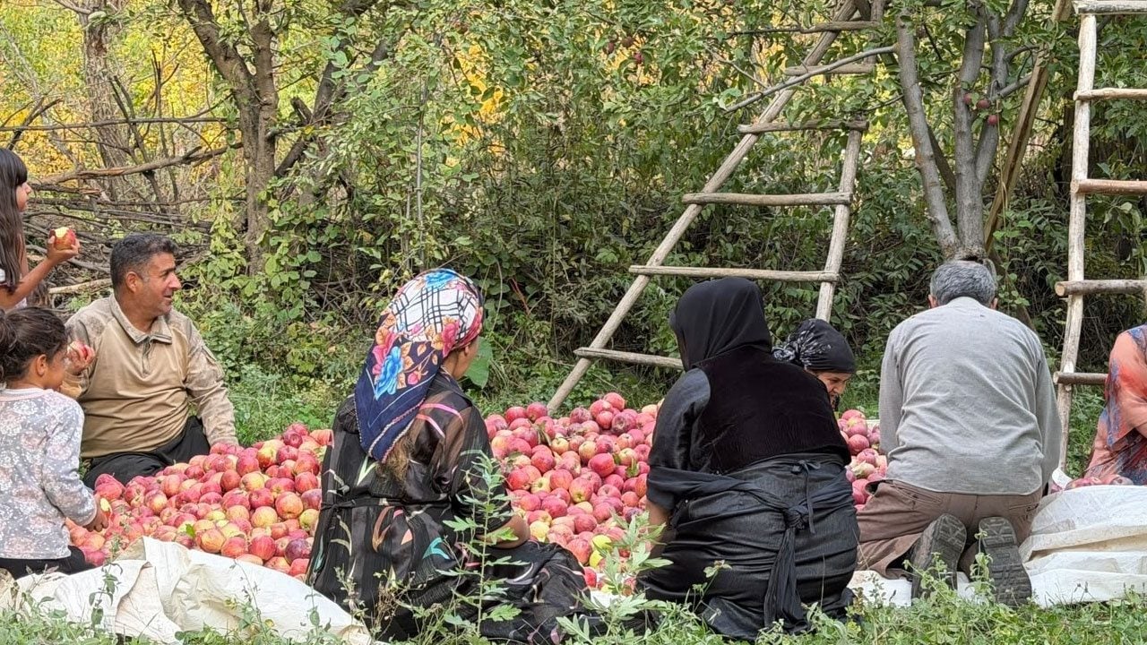 Foto - 15 yıllık emek! Devlet desteğiyle kurduğu bahçe geçim kapısı oldu