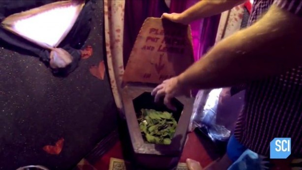 Foto - 150 bin pet şişe kullanarak yüzen ada yaptı